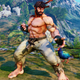 Illustration for article titled Street Fighter V Collectors Edition + Preorder Bonuses